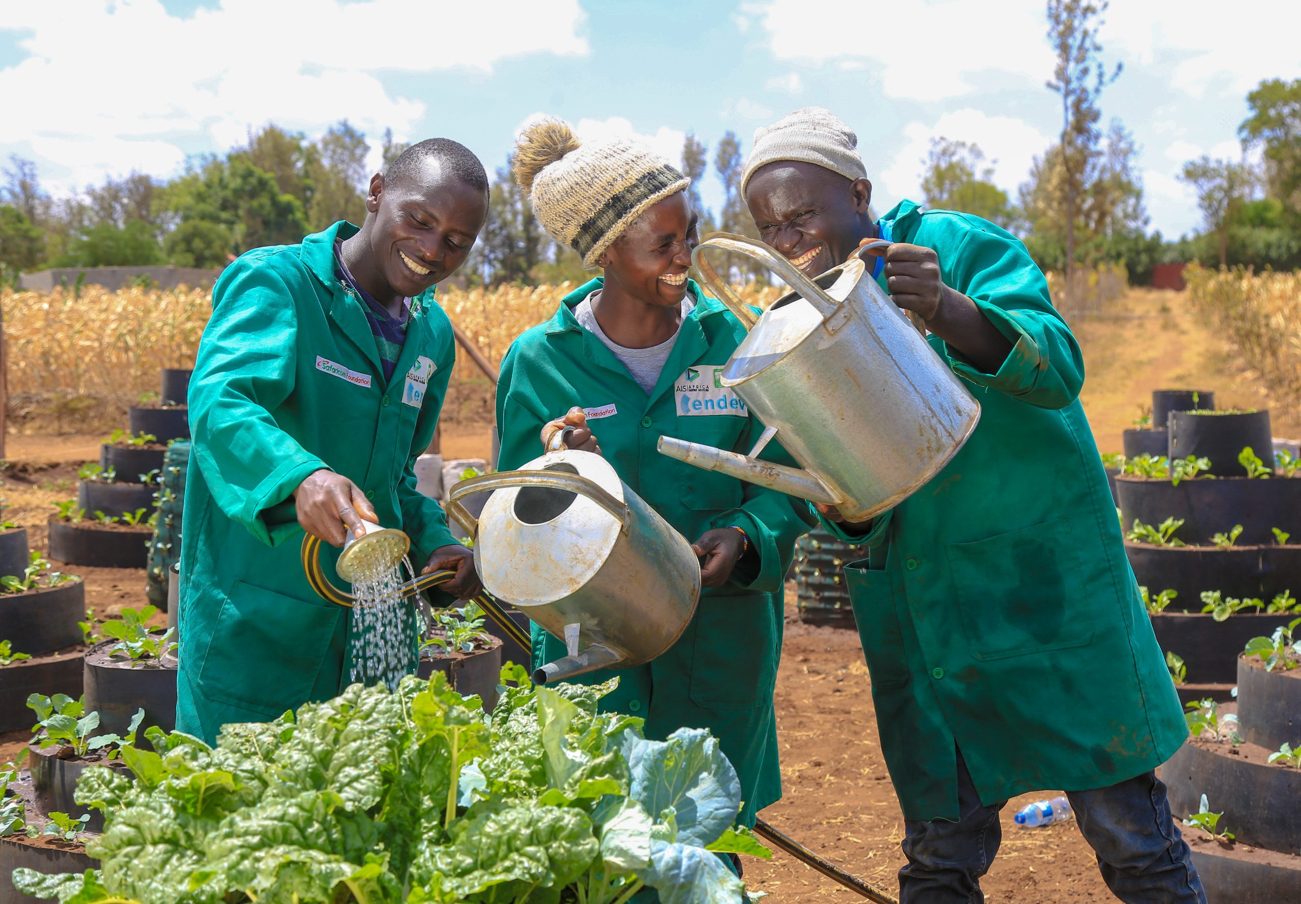 How AgroShield Works